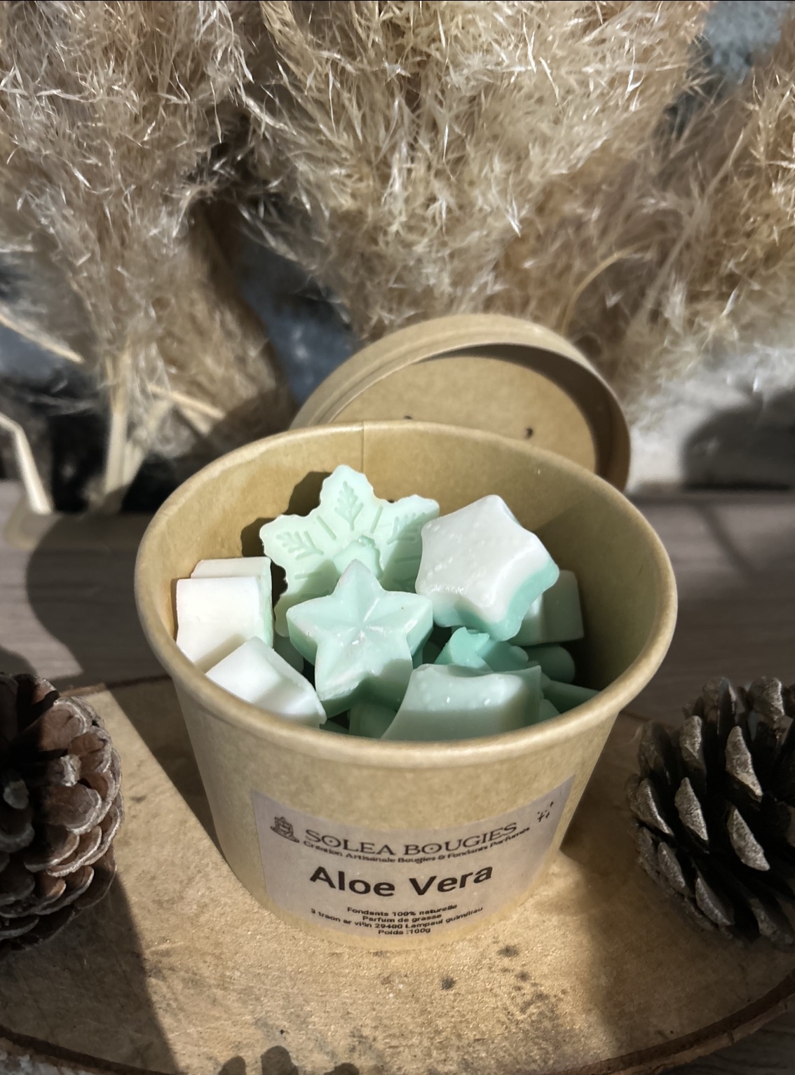pot surprise aloe vera