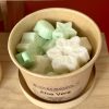 Pot Aloe Vera - Solea Bougies