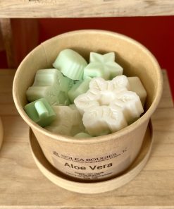 Pot Aloe Vera - Solea Bougies