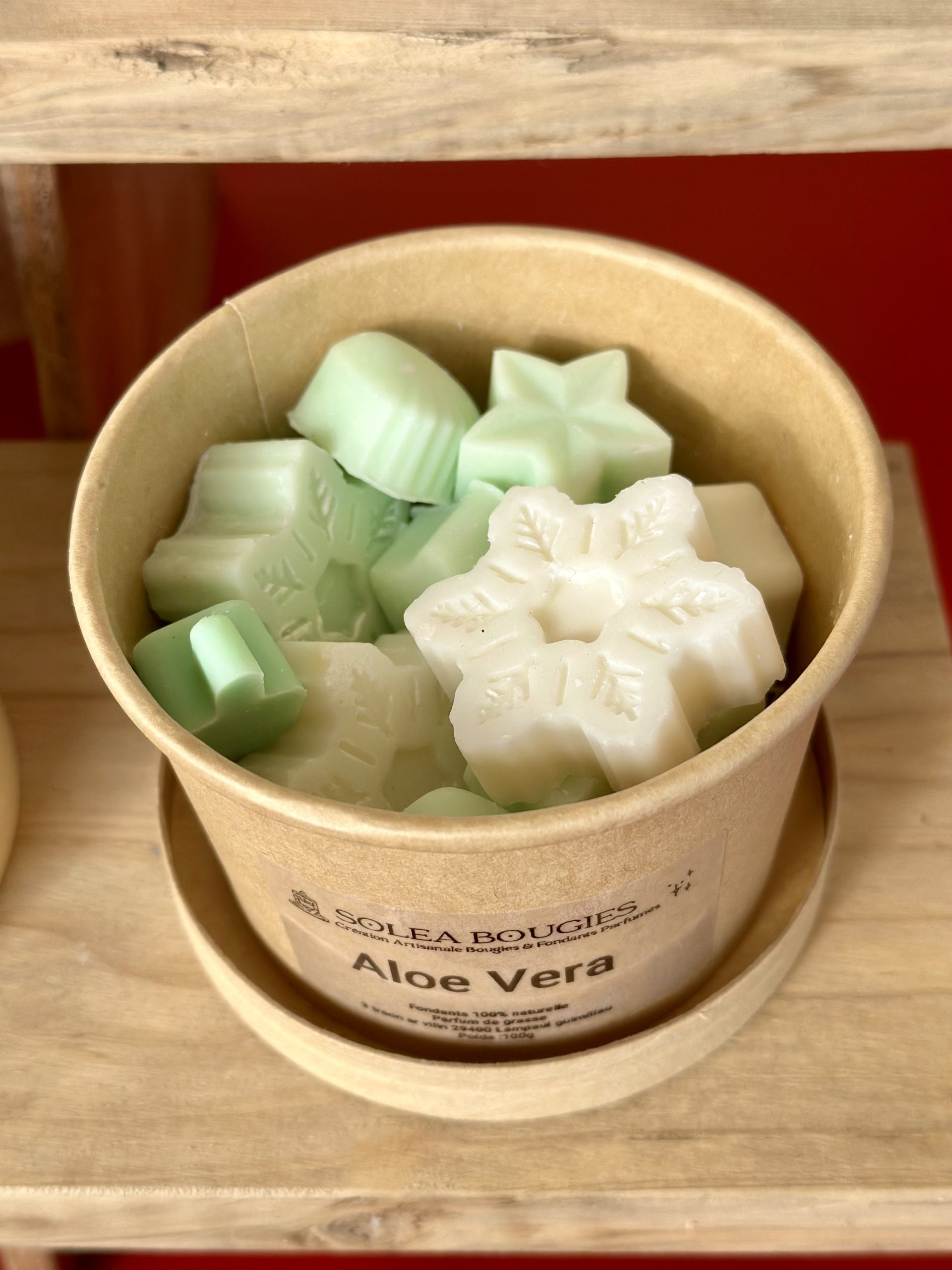 Pot Aloe Vera - Solea Bougies