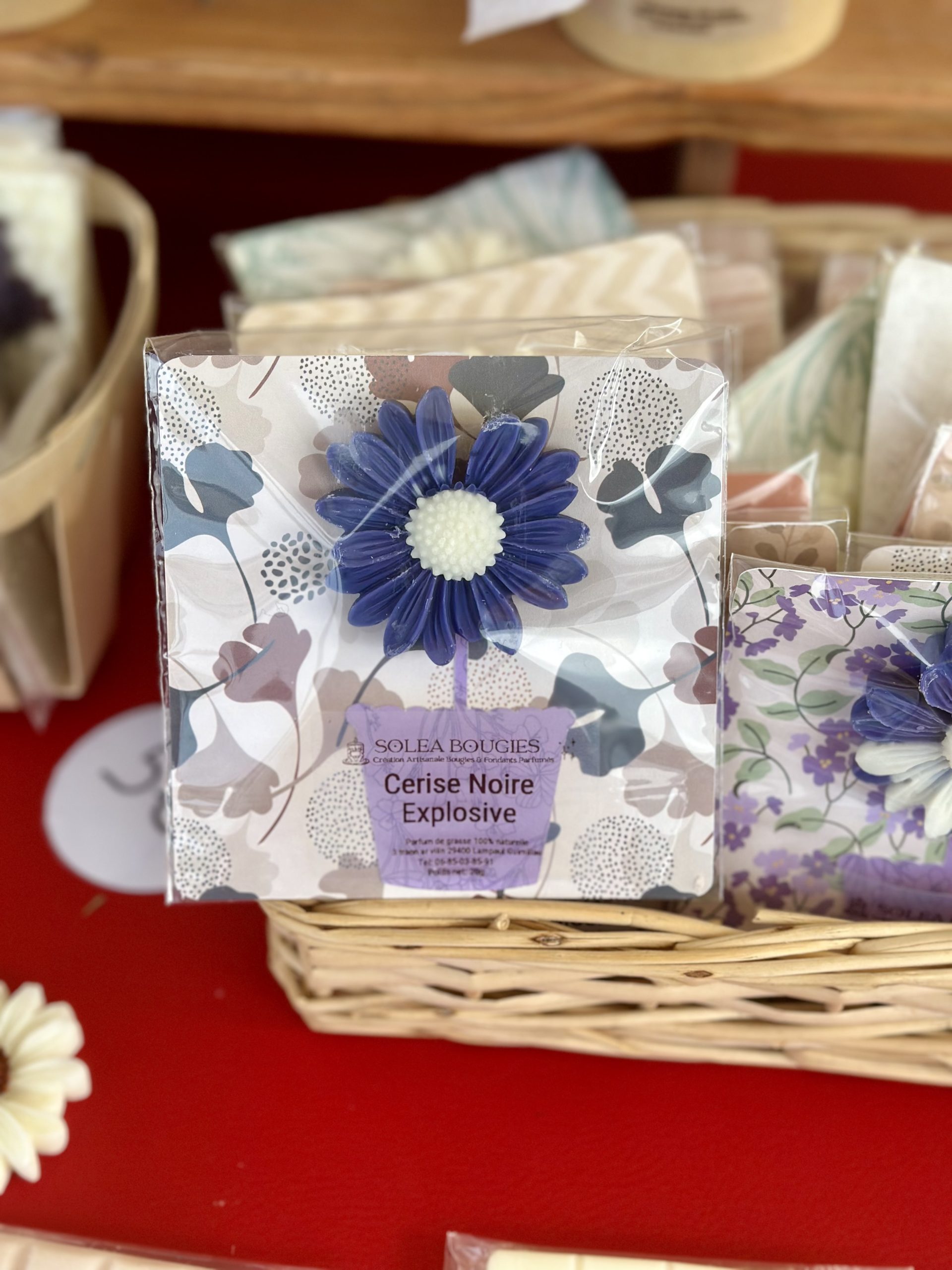 Carte Marguerite Fondant - Solea Bougies