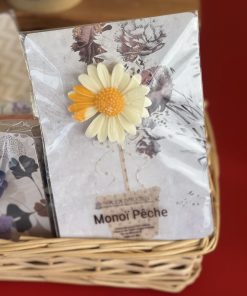 Carte Marguerite Fondant - Solea Bougies
