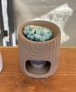Brûleur Solea